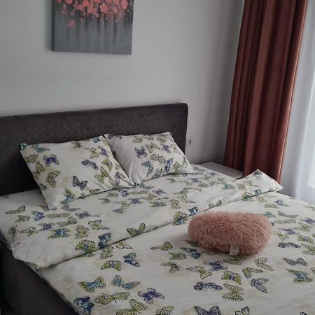 דירות Râmnicu Vâlcea Apartament Lucian מראה חיצוני תמונה