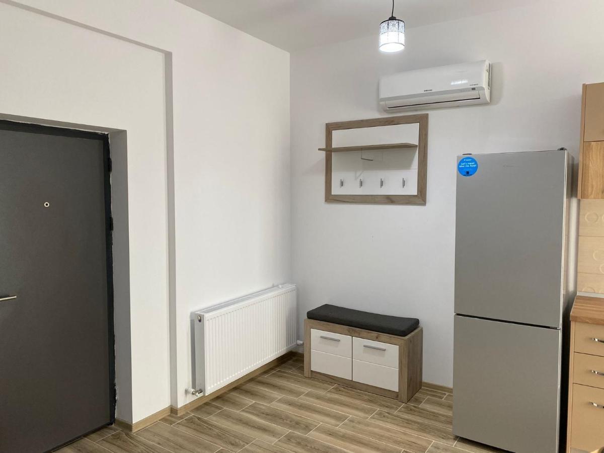 דירות Râmnicu Vâlcea Apartament Lucian מראה חיצוני תמונה